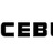 Icebug